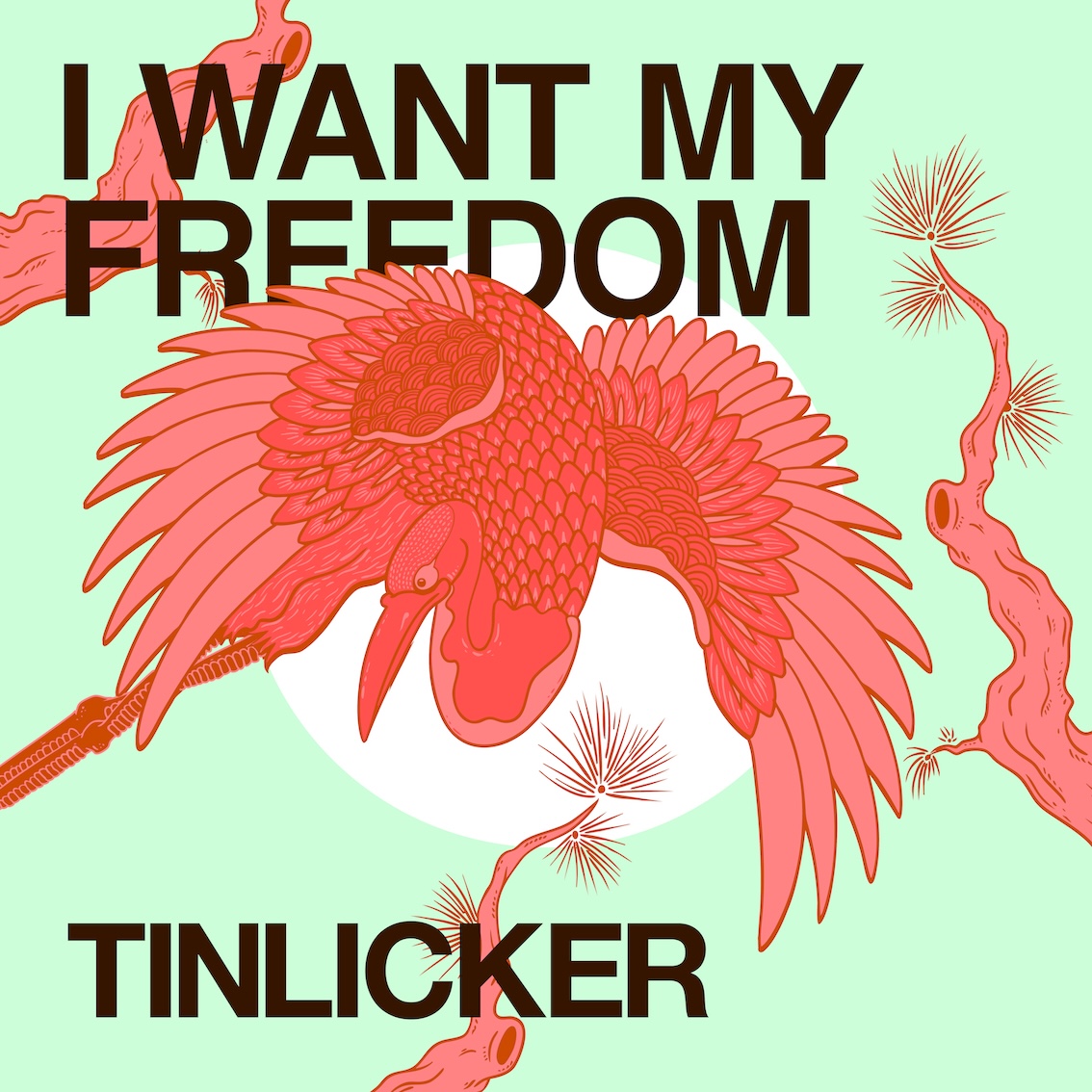 Two become three: Tinlicker enlist Hero Baldwin as band member for 2026